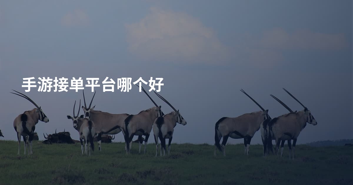 手游接单平台哪个好