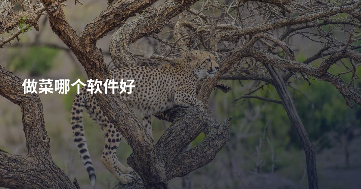 做菜哪个软件好
