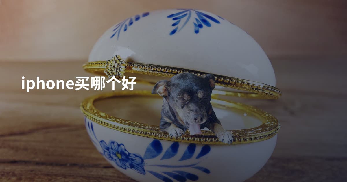 iphone买哪个好