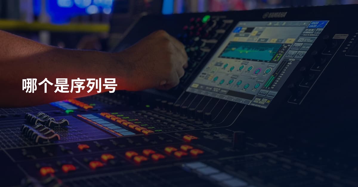哪个是序列号