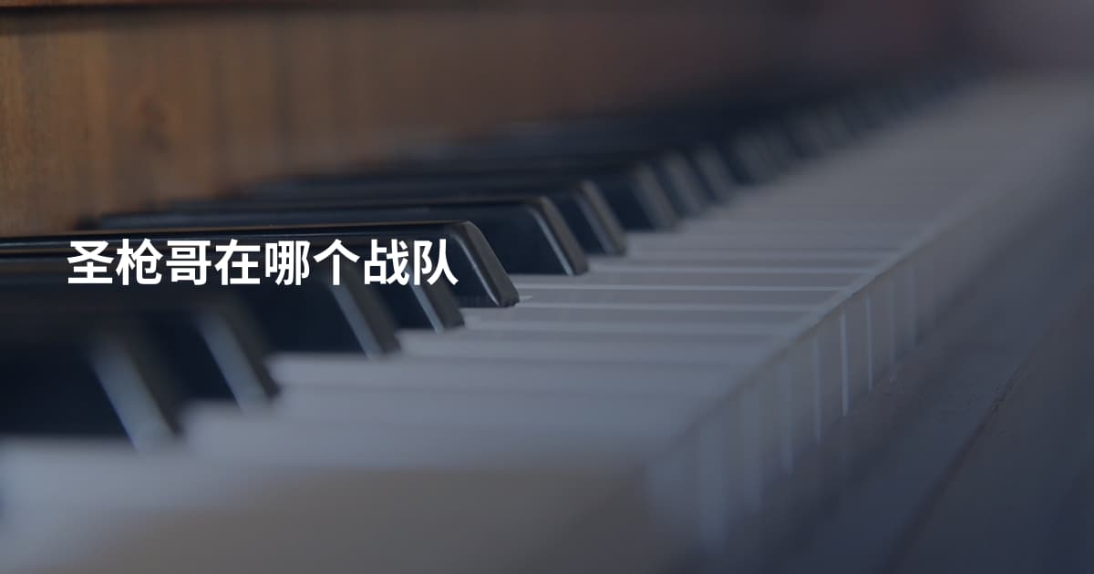 圣枪哥在哪个战队