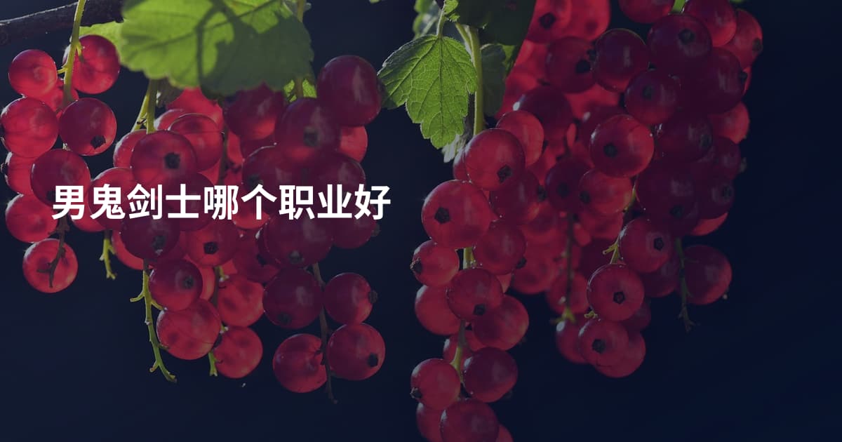 男鬼剑士哪个职业好