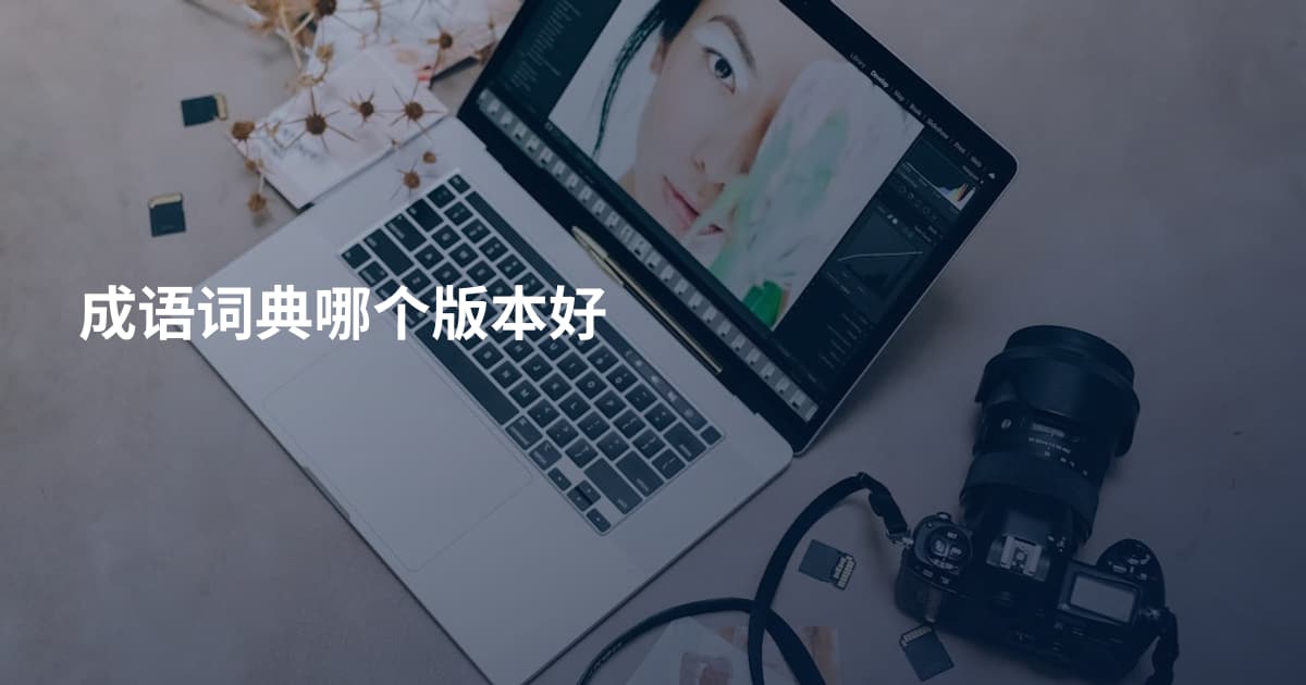 成语词典哪个版本好