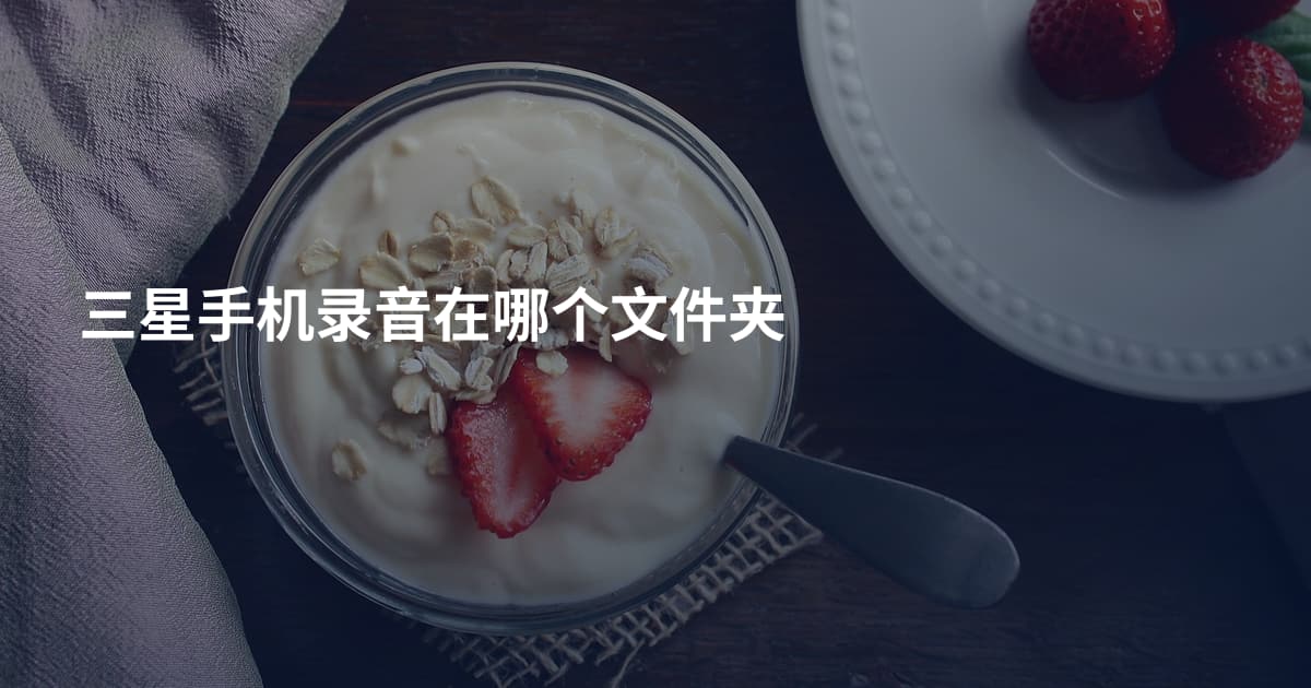 三星手机录音在哪个文件夹