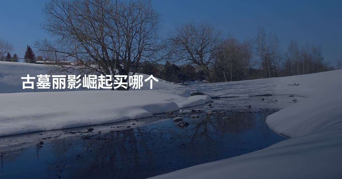 古墓丽影崛起买哪个