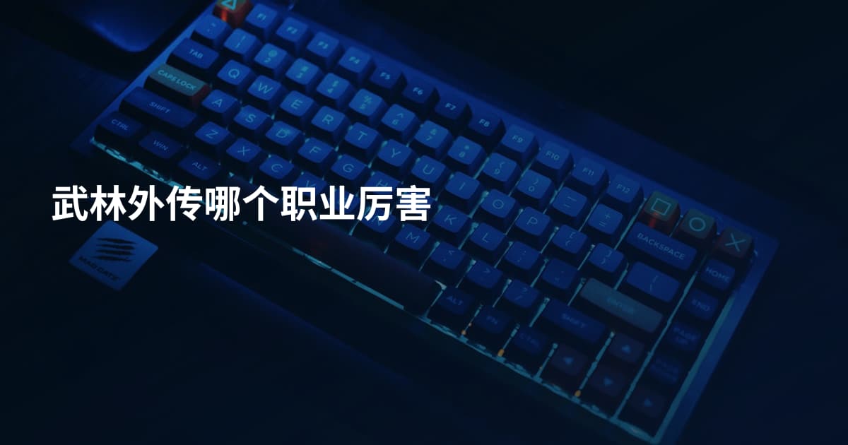 武林外传哪个职业厉害