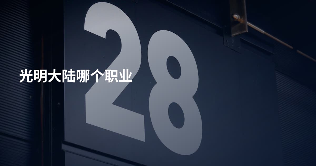 光明大陆哪个职业