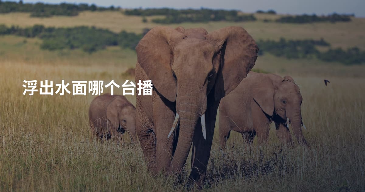 浮出水面哪个台播