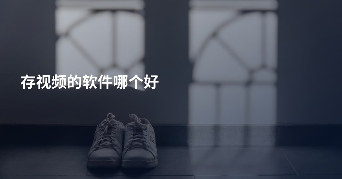 存视频的软件哪个好