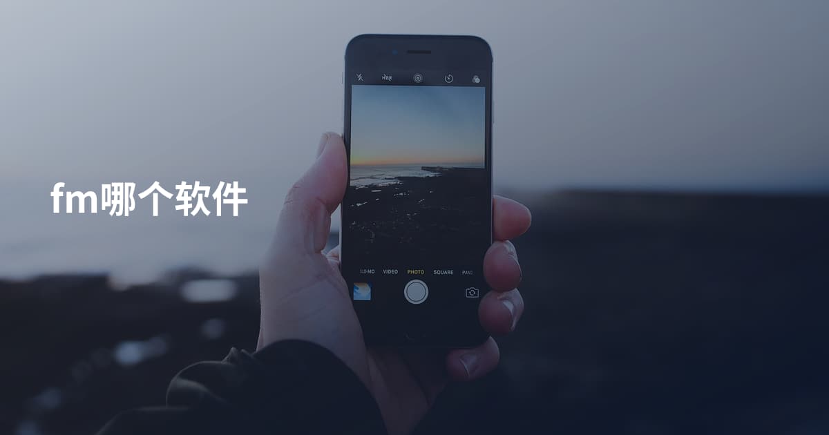fm哪个软件