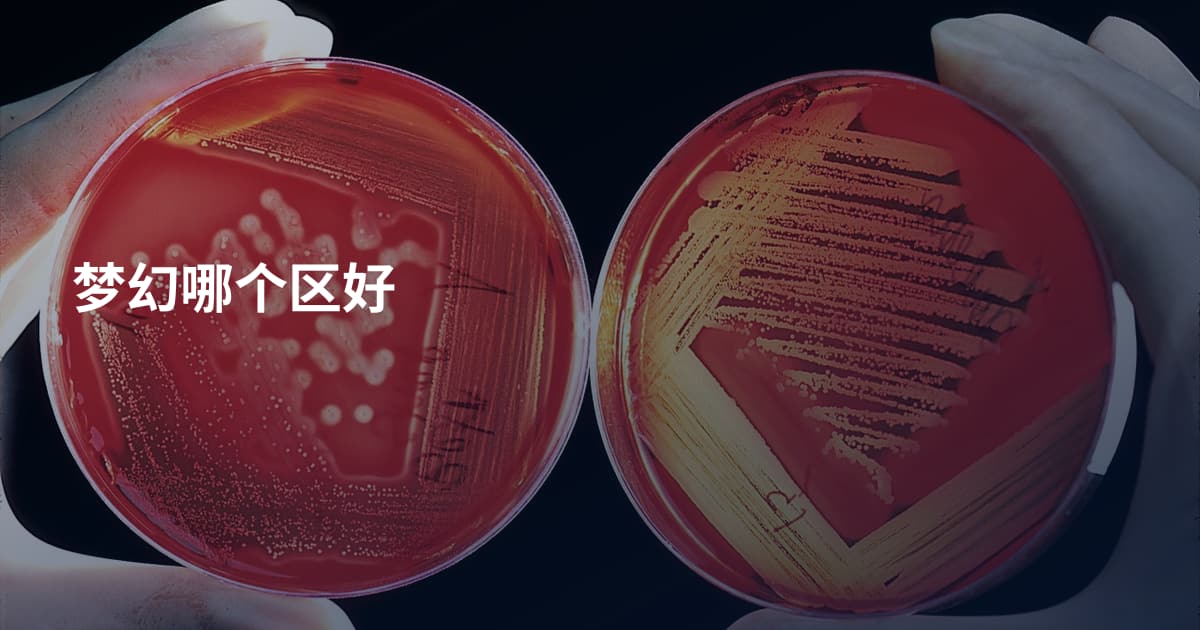 梦幻哪个区好