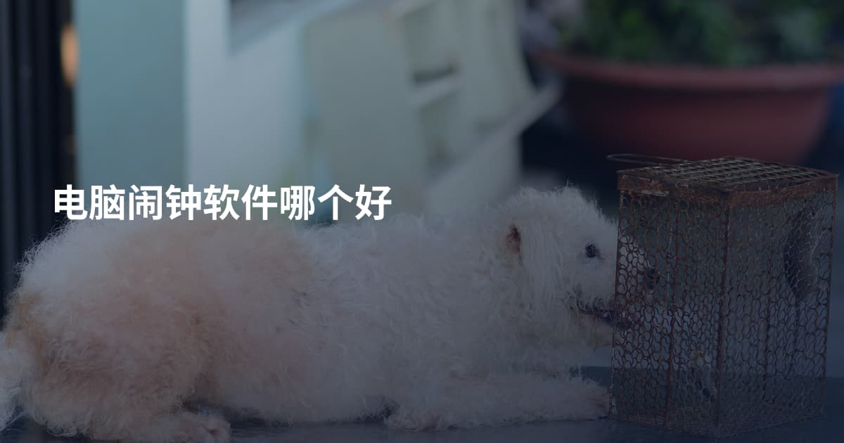 电脑闹钟软件哪个好