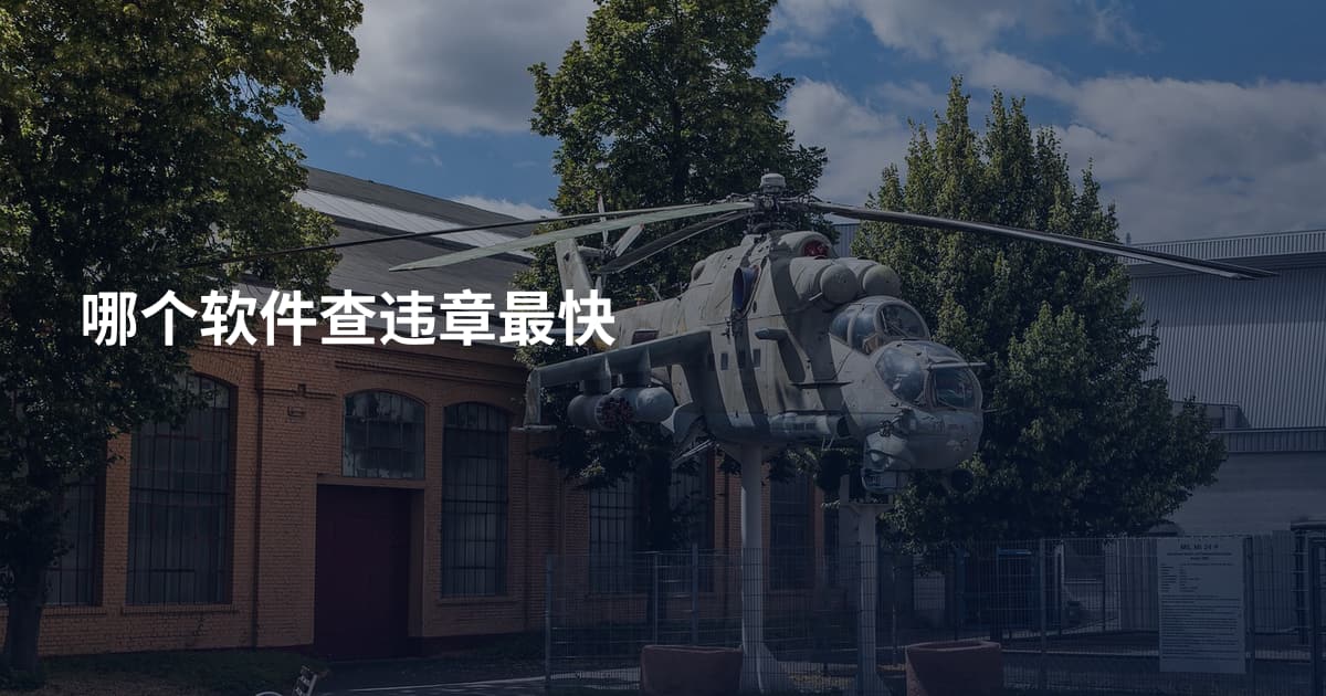 哪个软件查违章最快