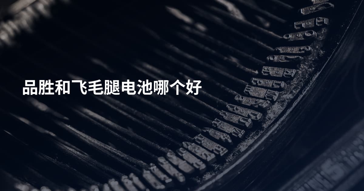 品胜和飞毛腿电池哪个好