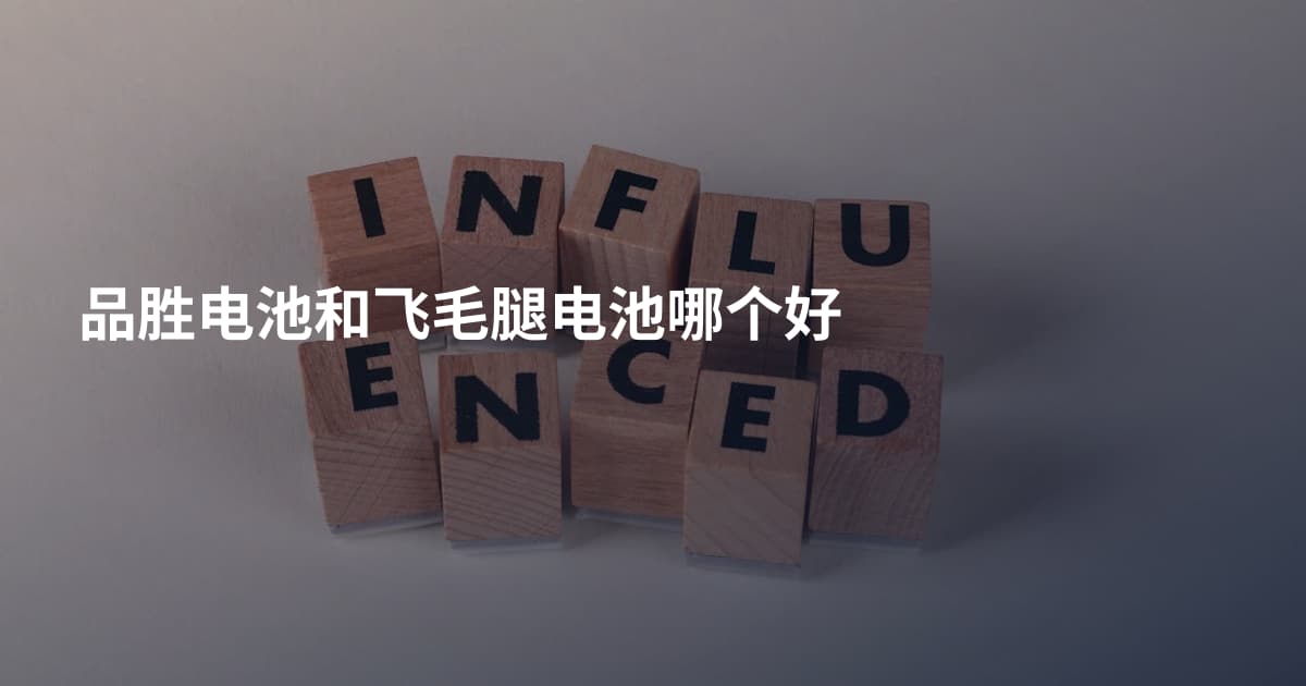 品胜电池和飞毛腿电池哪个好