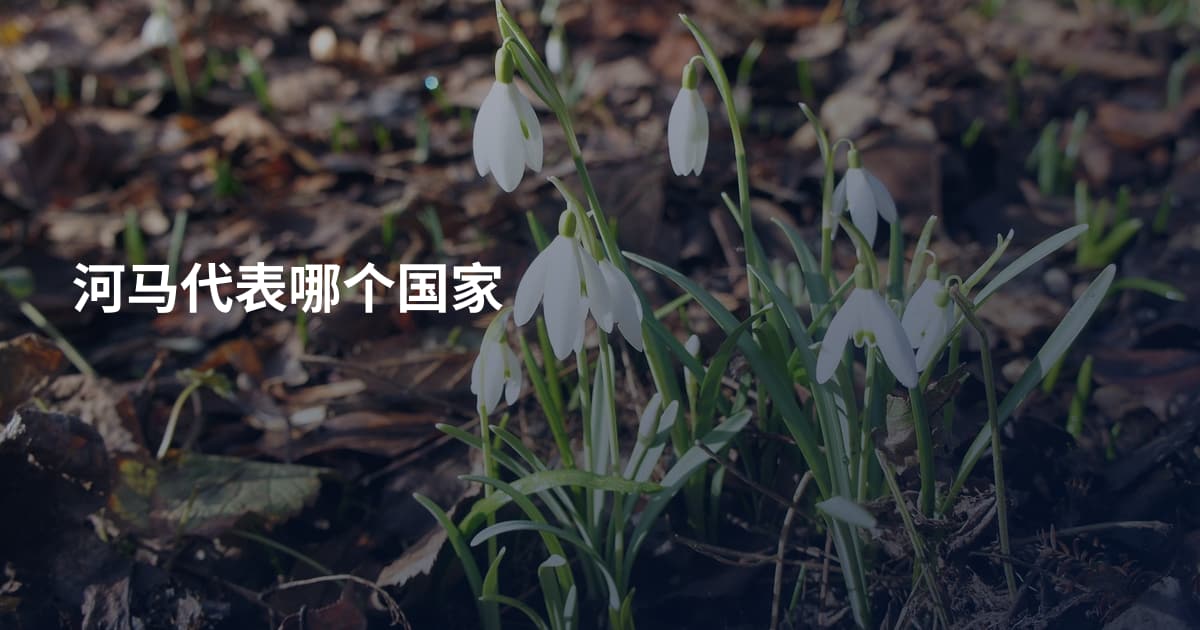 河马代表哪个国家