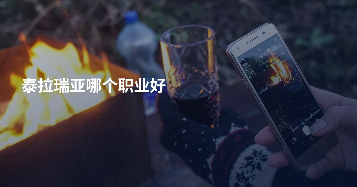 泰拉瑞亚哪个职业好