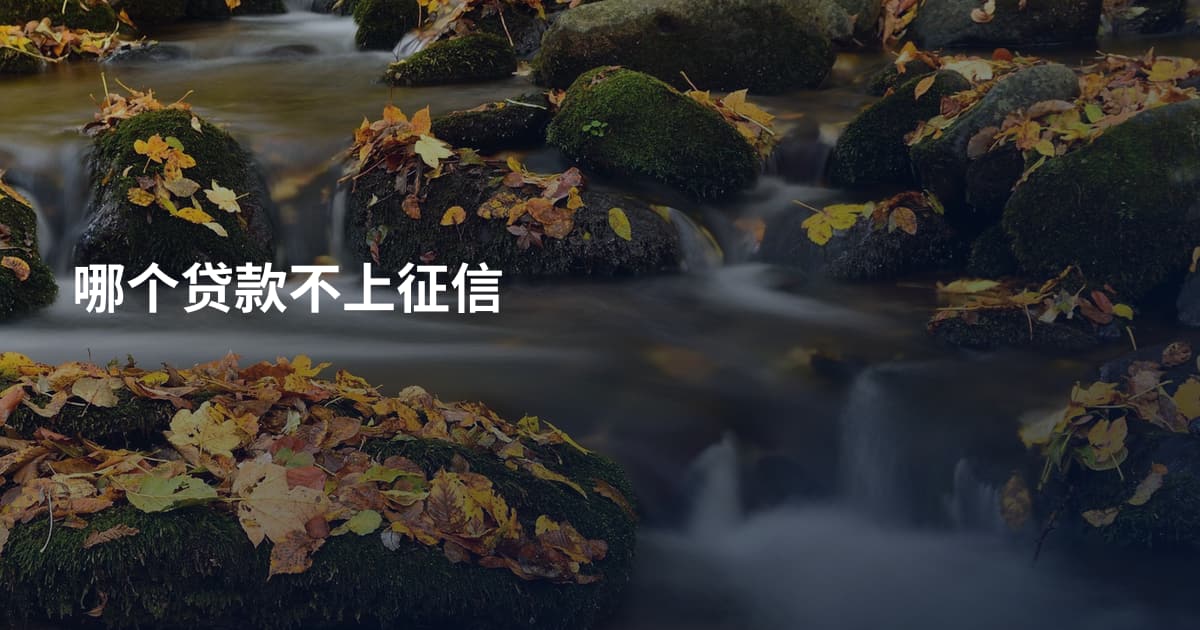 哪个贷款不上征信