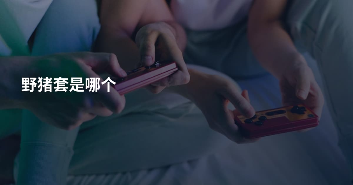 野猪套是哪个