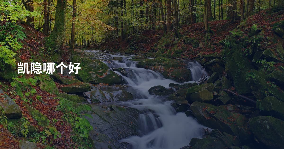 凯隐哪个好