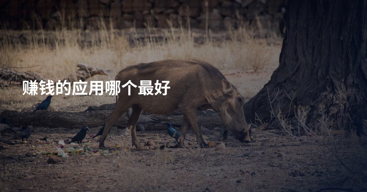 赚钱的应用哪个最好