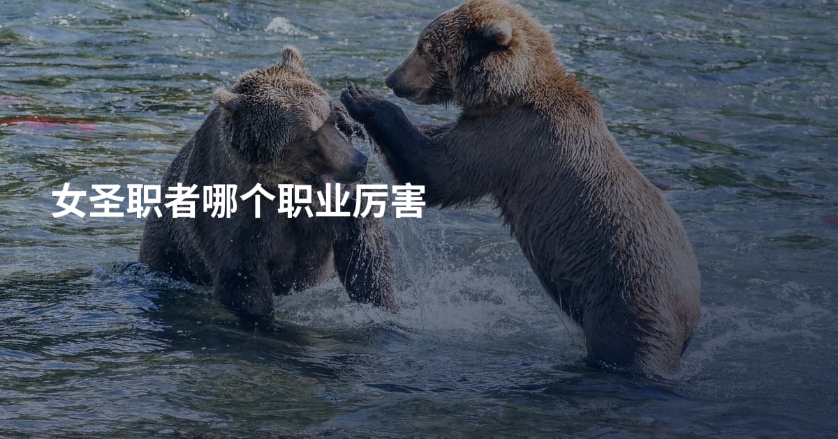 女圣职者哪个职业厉害