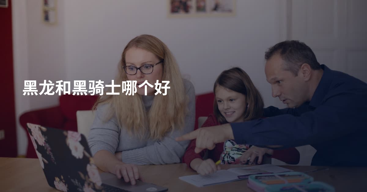 黑龙和黑骑士哪个好