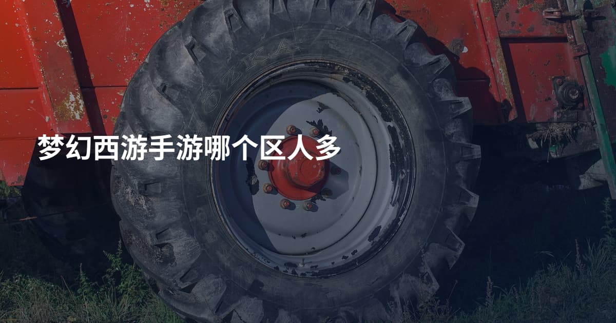 梦幻西游手游哪个区人多