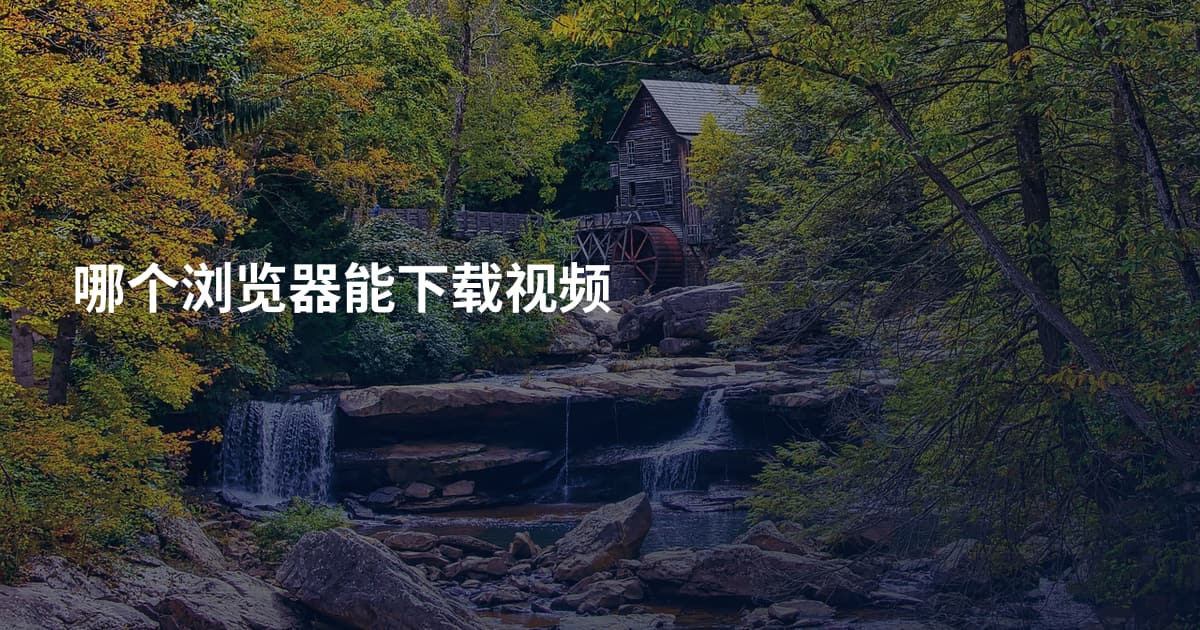 哪个浏览器能下载视频