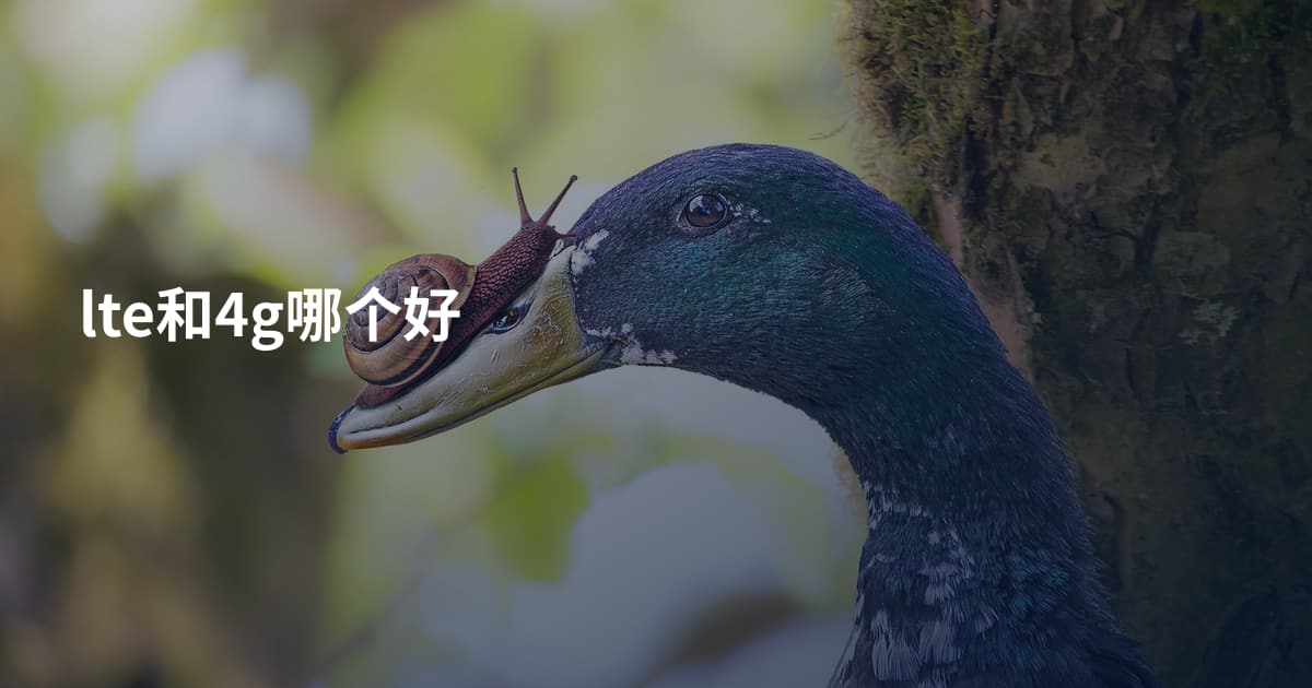 lte和4g哪个好