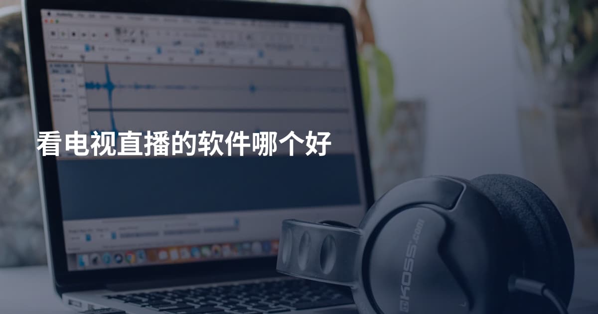 看电视直播的软件哪个好
