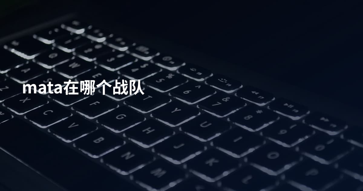 mata在哪个战队