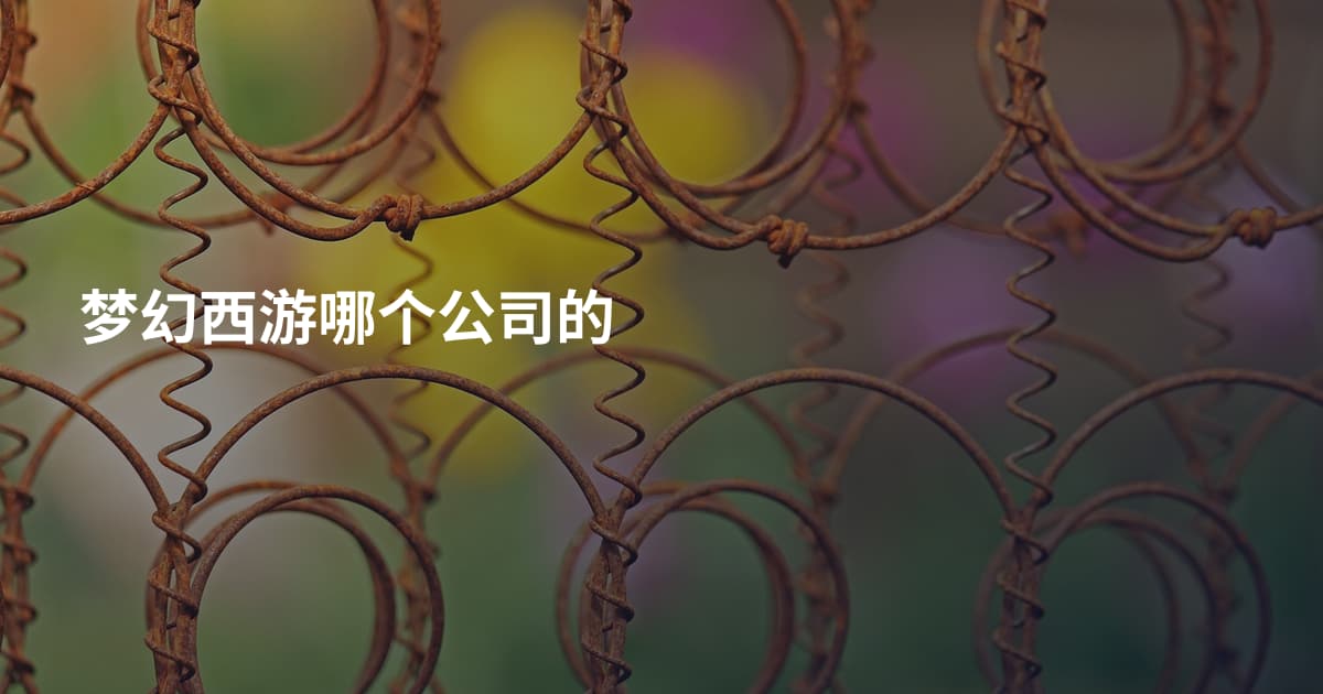 梦幻西游哪个公司的