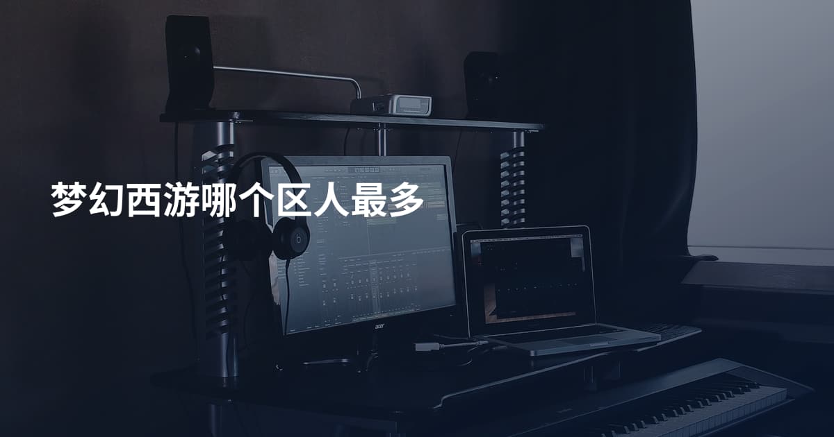 梦幻西游哪个区人最多