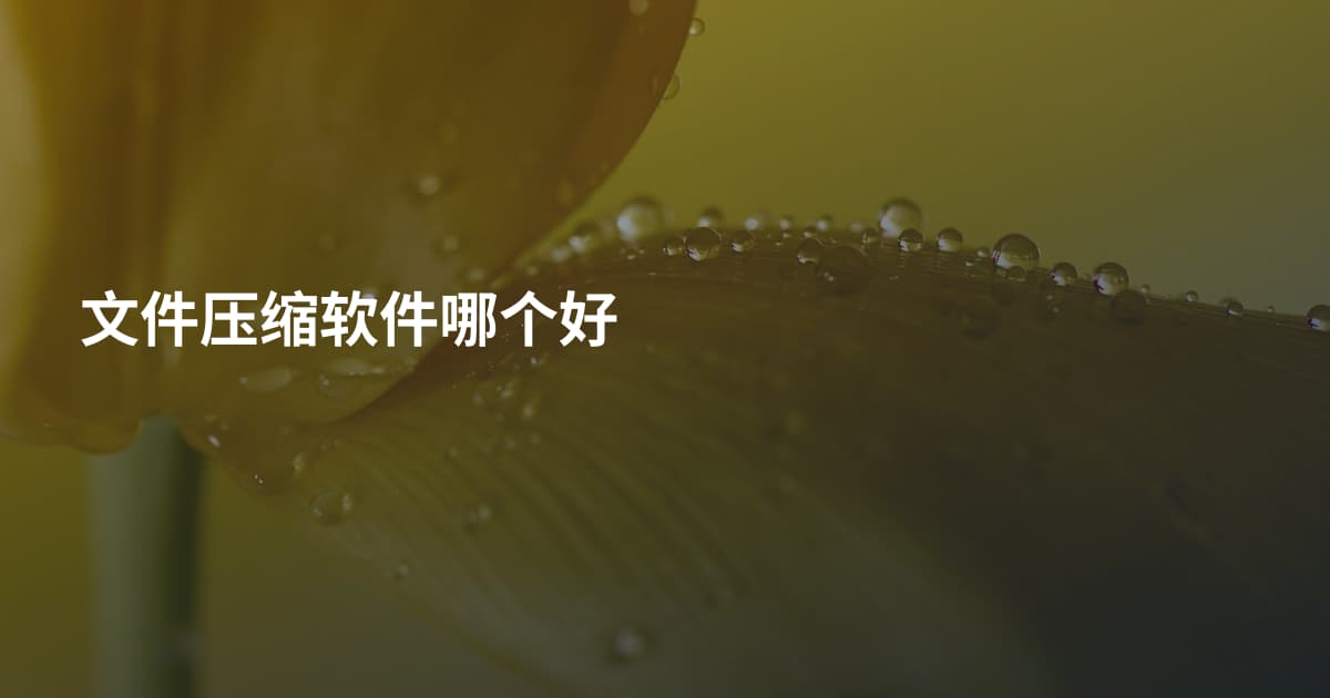 文件压缩软件哪个好