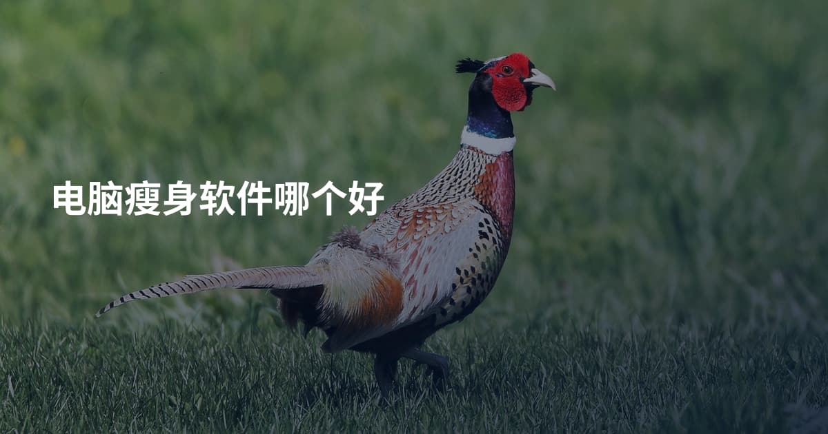 电脑瘦身软件哪个好