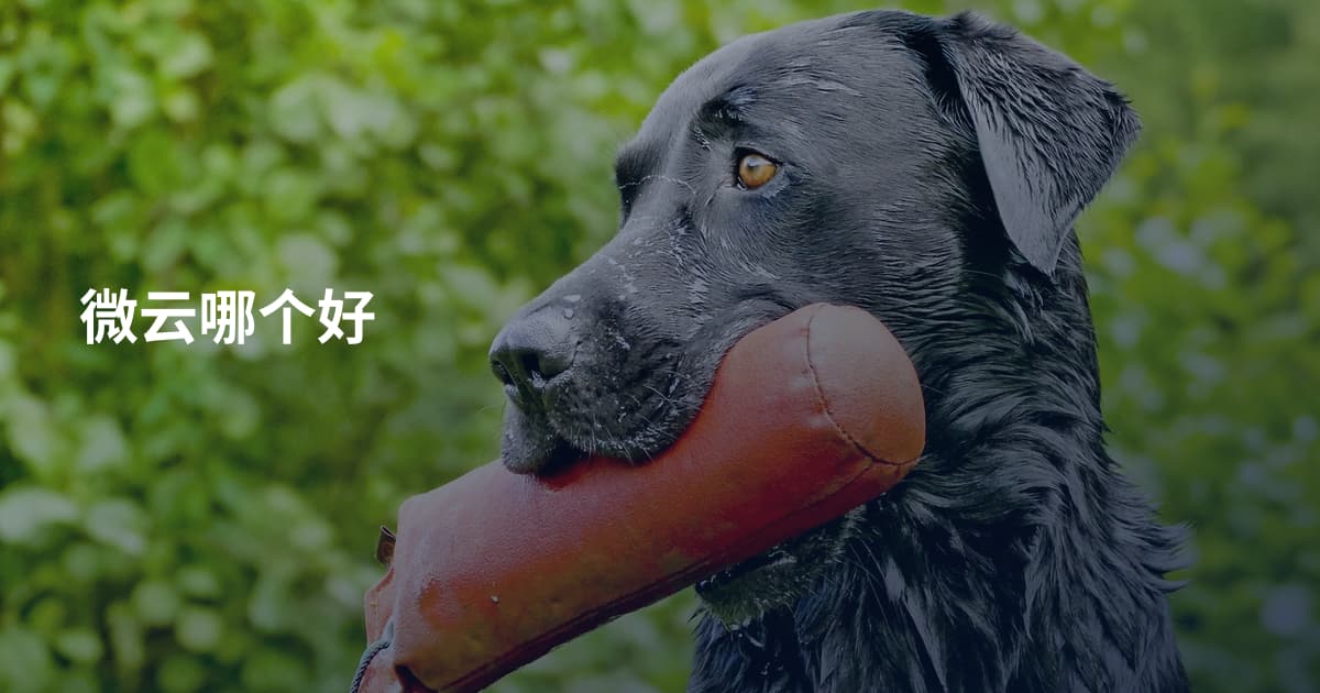 微云哪个好