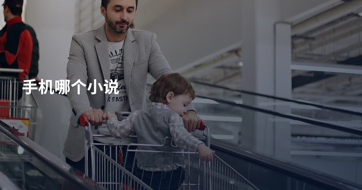 手机哪个小说
