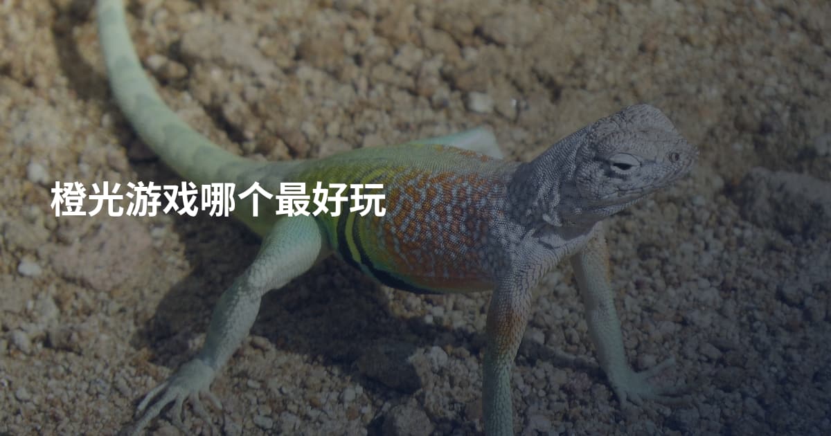 橙光游戏哪个最好玩