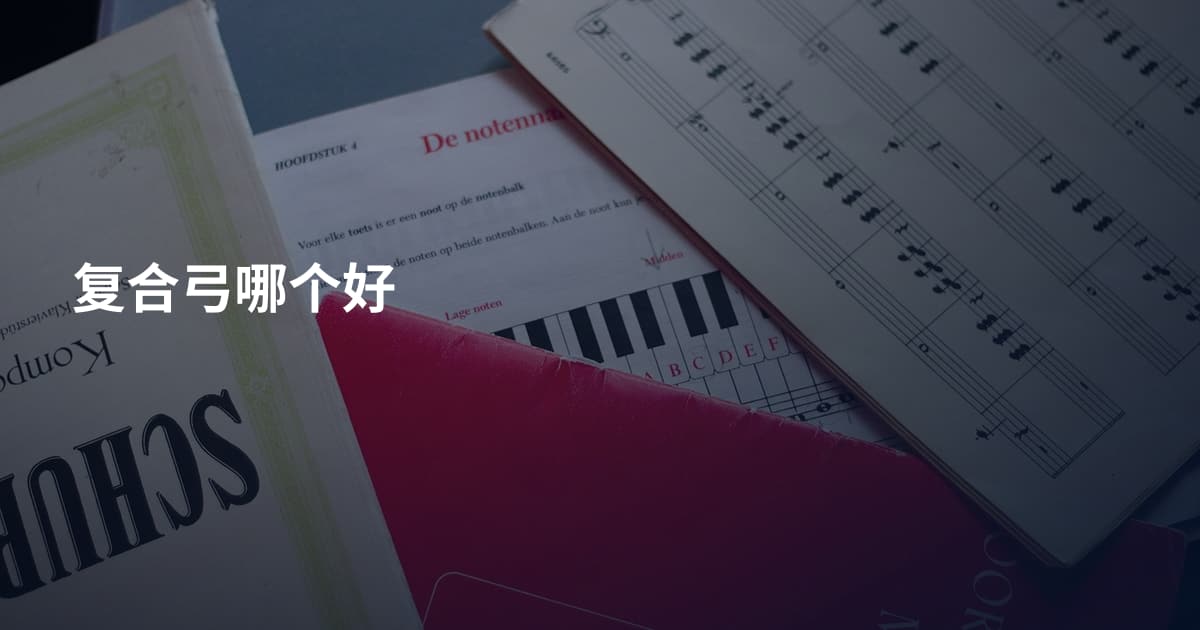 复合弓哪个好