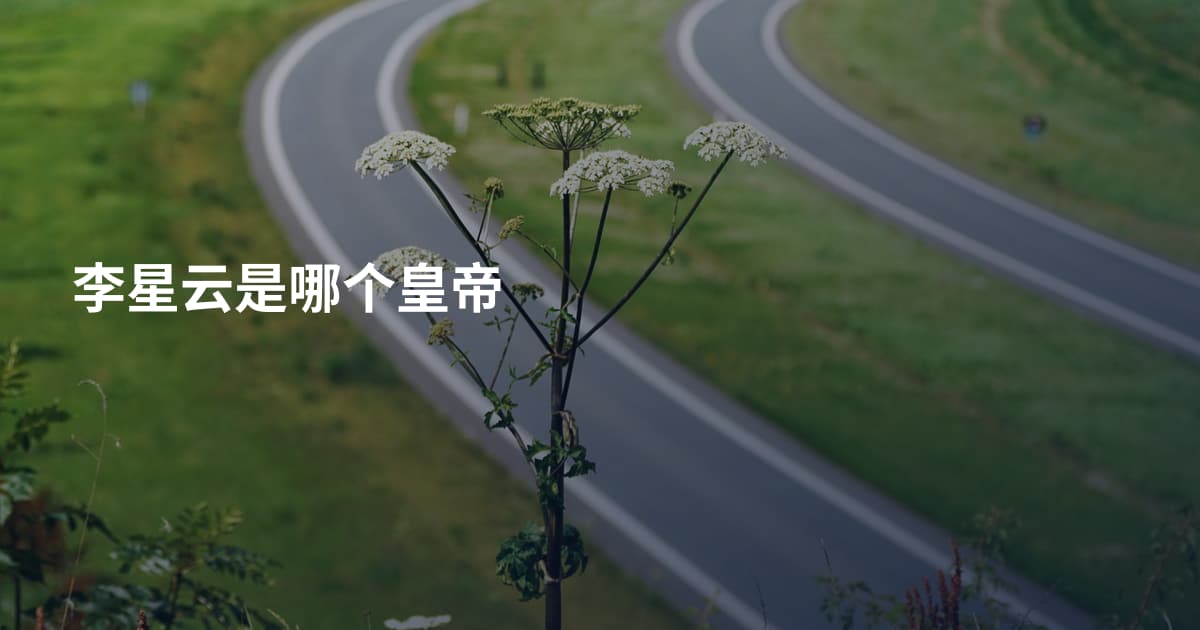 李星云是哪个皇帝