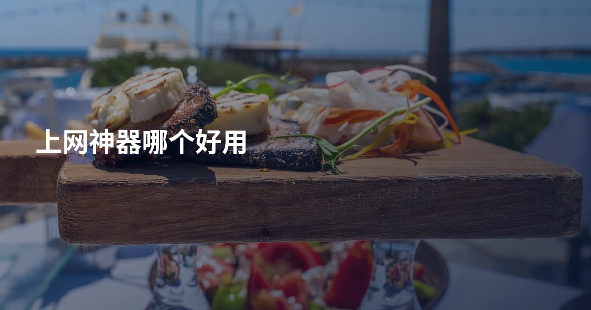 上网神器哪个好用