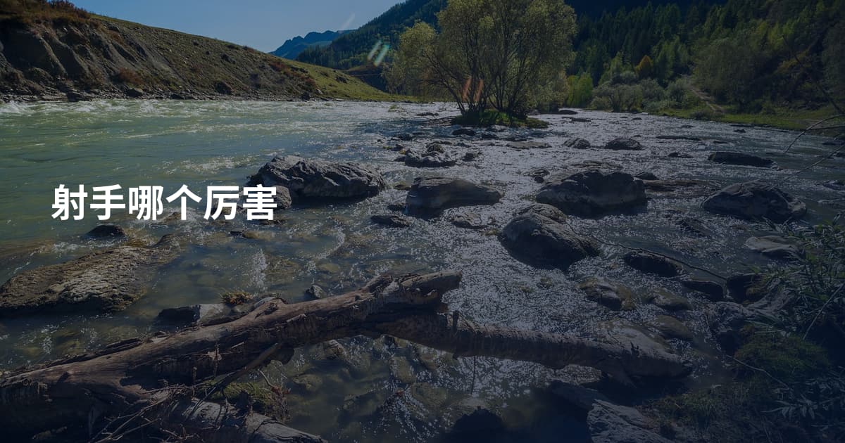 射手哪个厉害