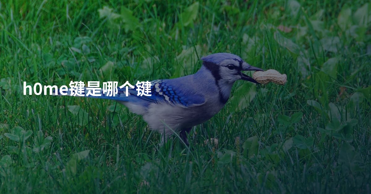h0me键是哪个键
