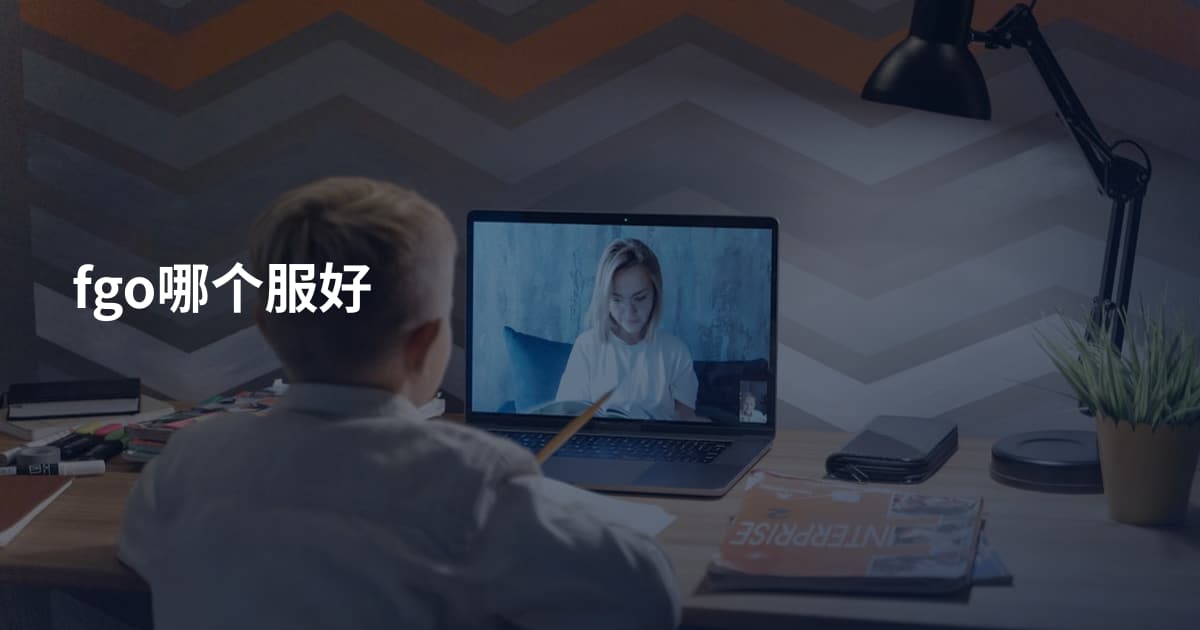 fgo哪个服好