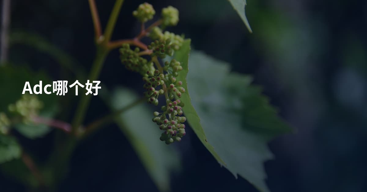 Adc哪个好