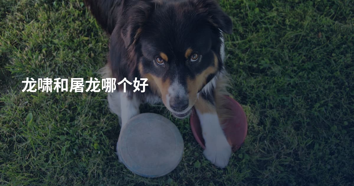 龙啸和屠龙哪个好