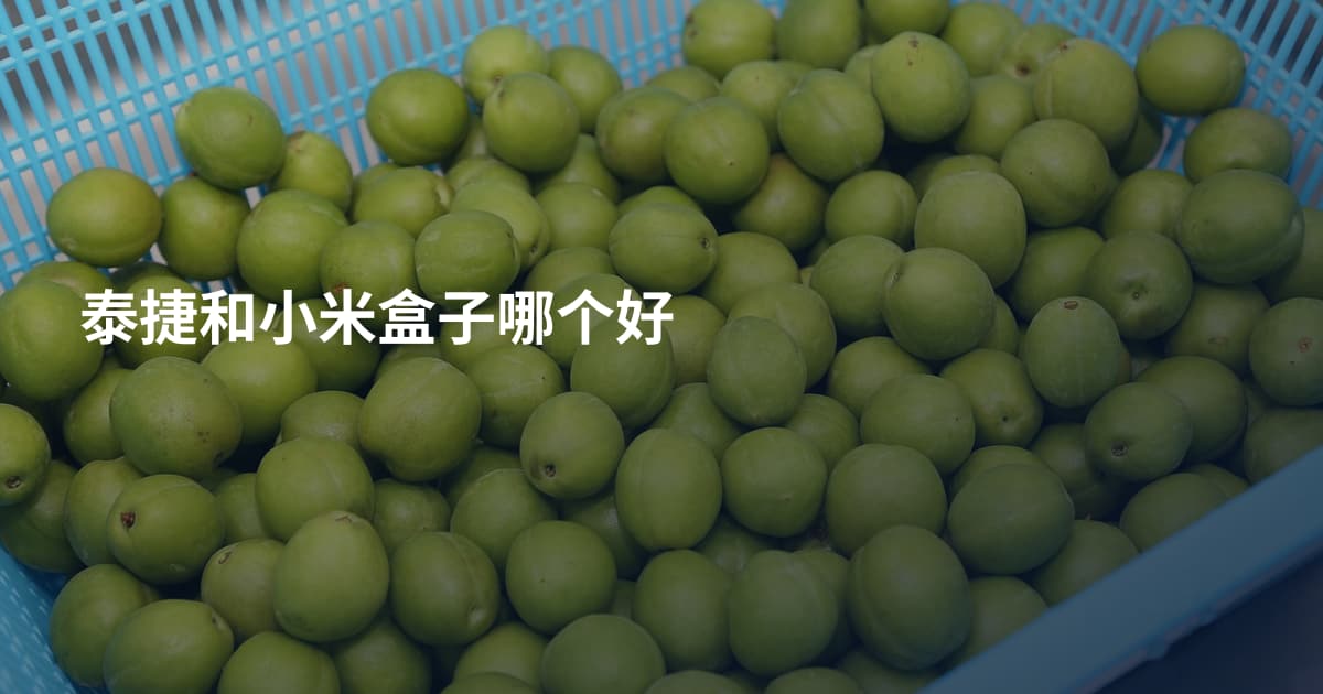泰捷和小米盒子哪个好