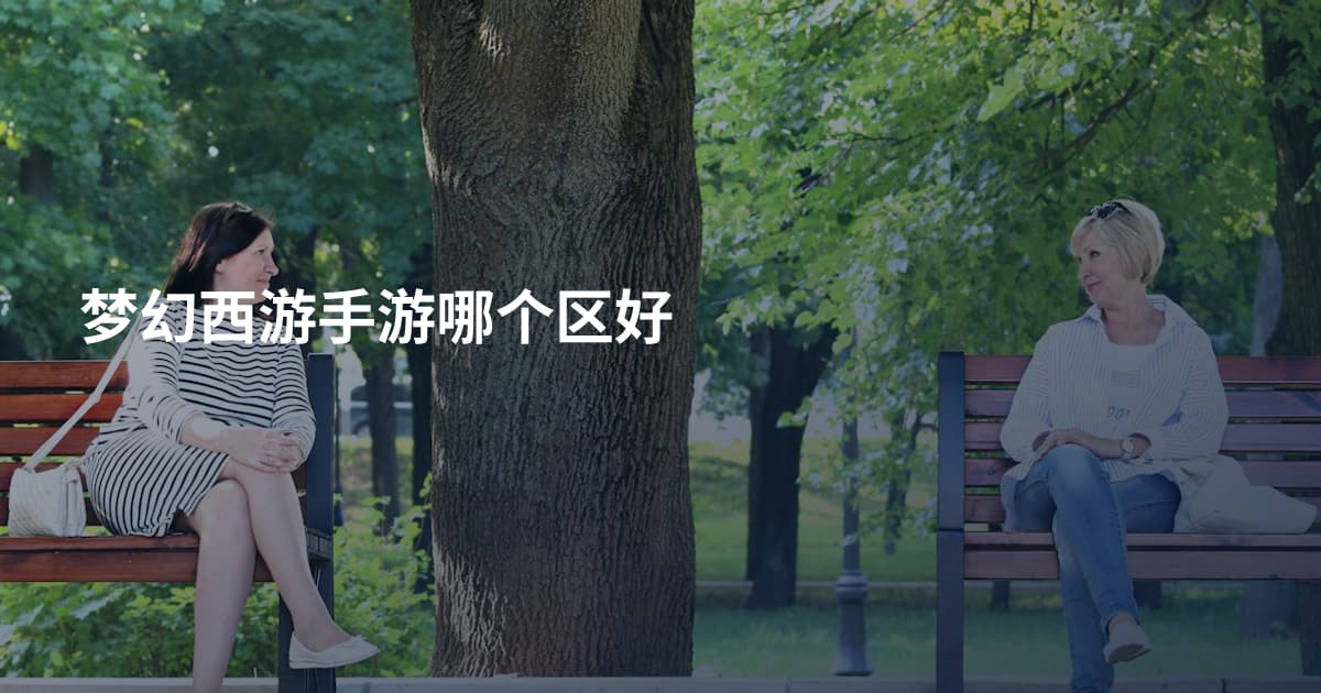 梦幻西游手游哪个区好