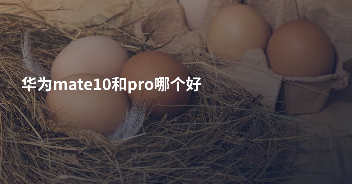 华为mate10和pro哪个好